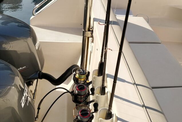 36ft Cruise Master Dubai fishing rods